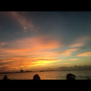 Meet your Posher, Nicolette